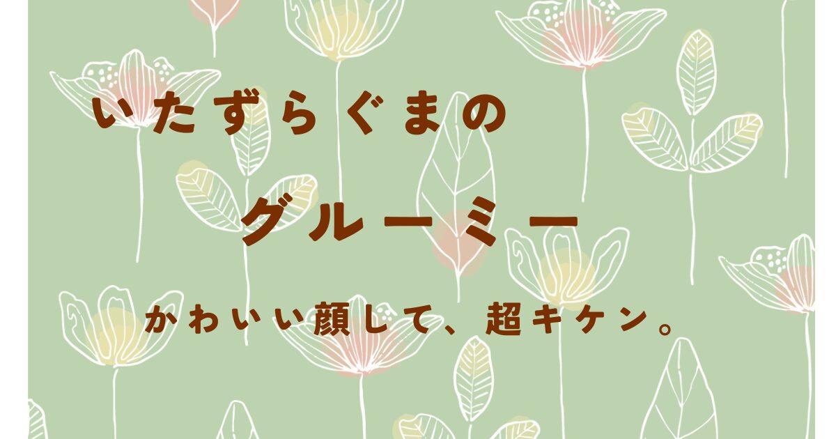 いたずらぐまのグルーミーとは？作者・魅力・プロフィール・グッズ情報まで徹底解説！今も愛され続ける理由