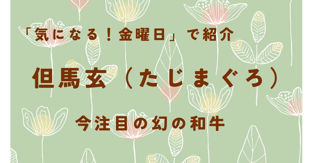 「気になる！金曜日」で話題｜但馬玄（たじまぐろ）｜今注目の幻の和牛